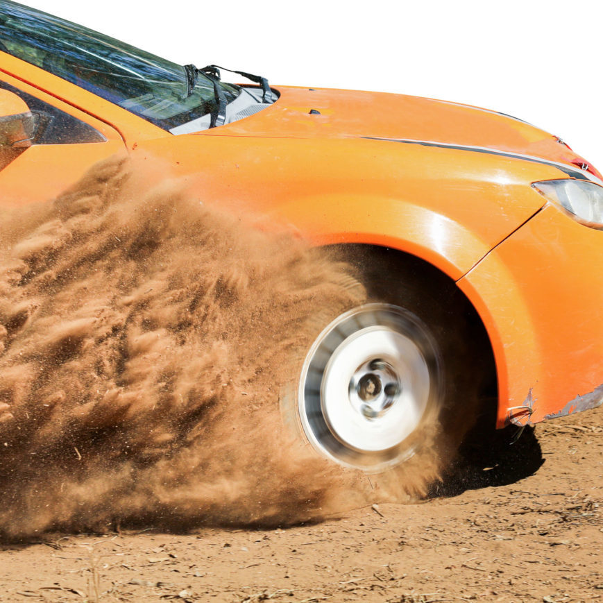 Rabbit Rally | Regularity Rally with Precision